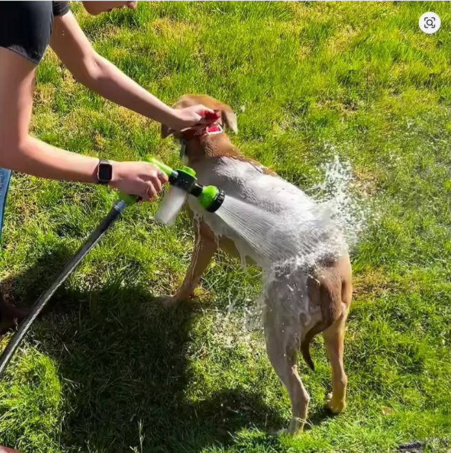 PawJet™ - 8 in 1 Dog Shower & Grooming Tool
