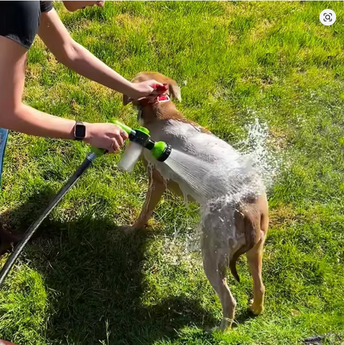 PawJet™ - 8 in 1 Dog Shower & Grooming Tool